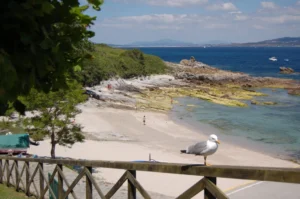 La playa de Dornas en Isla de Ons: Cómo llegar, servicios y el tiempo