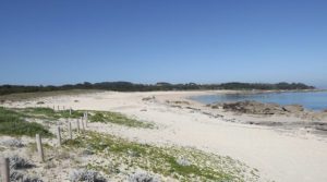 playa mexilloeira en O Grove