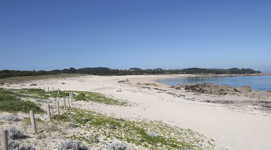 playa mexilloeira en O Grove