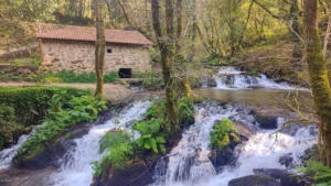 Ruta da Pedra e da Auga